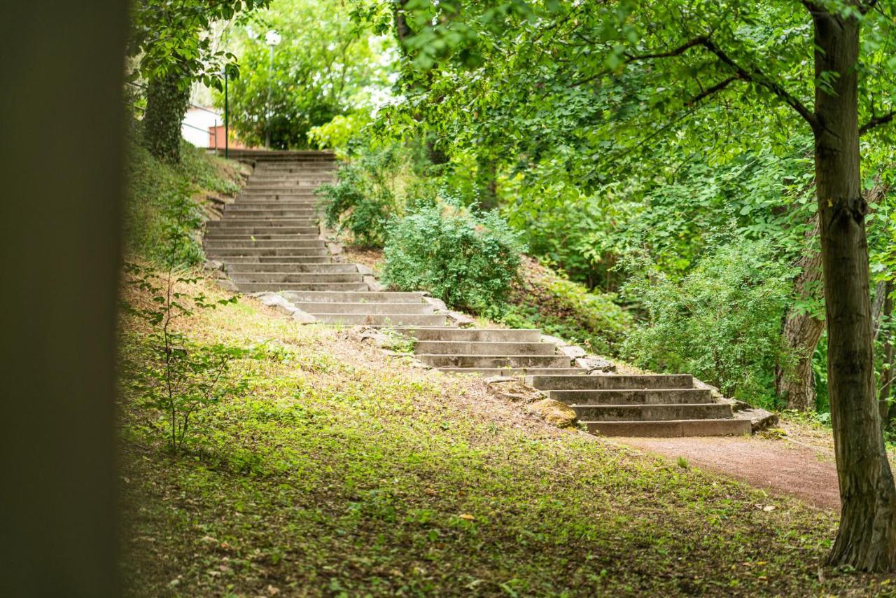 Hôtel Dreibrunnen Gastehaus Im Luisenpark à Erfurt Extérieur photo